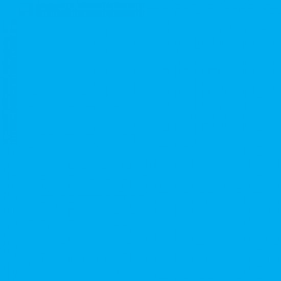 Blåkläder 4034 Riem. Stoere en verstelbare riem van Blåkläder, verkrijgbaar in diverse kleuren. Bestel direct online, en profiteer van hoge kortingen!