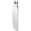 Workman Overalls